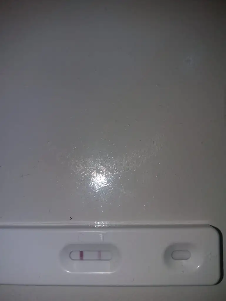 IMG-20210421-WA0010.webp