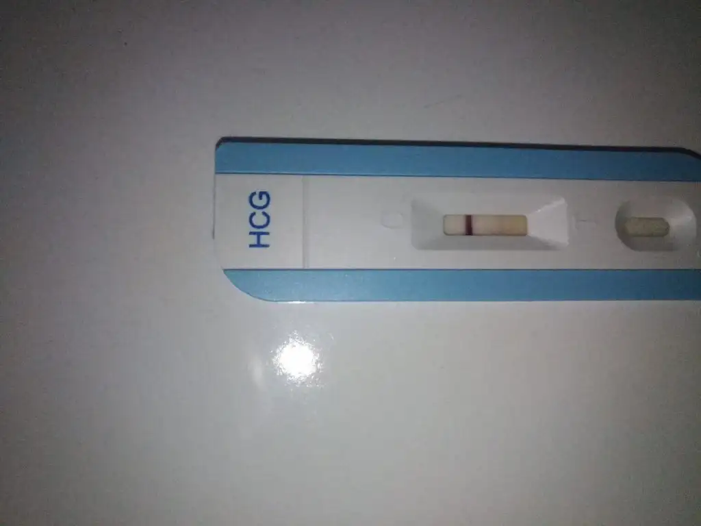 IMG-20210626-WA0008.webp