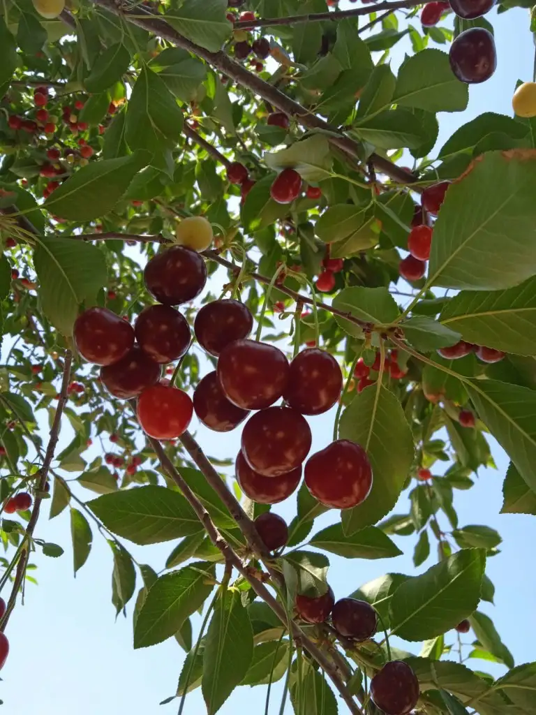 IMG-20210630-WA0024.webp