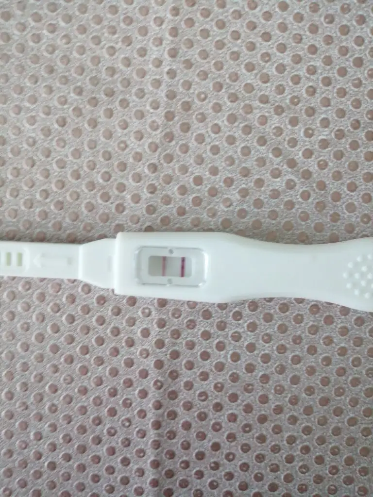 IMG-20210805-WA0000.webp