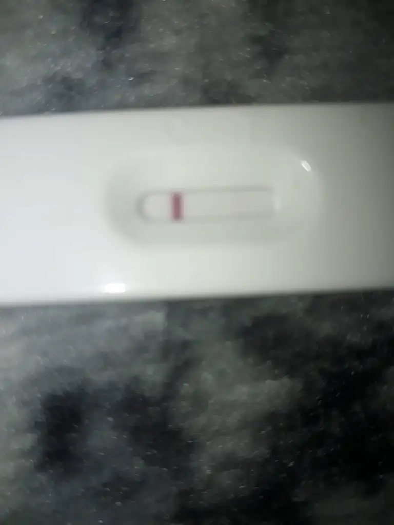 IMG-20211021-WA0037.webp