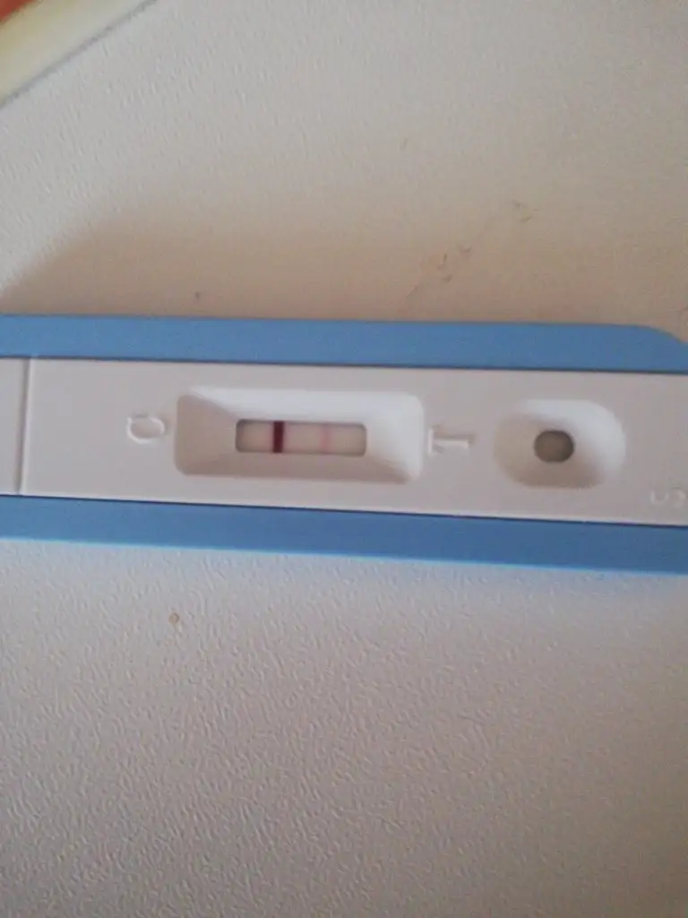 IMG-20211127-WA0019.webp