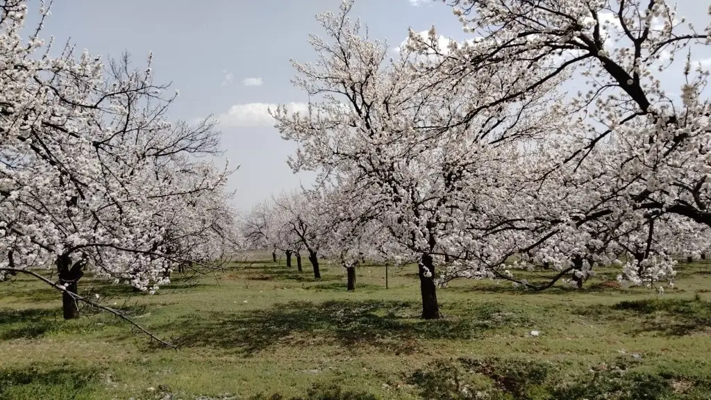 IMG-20220404-WA0011.webp