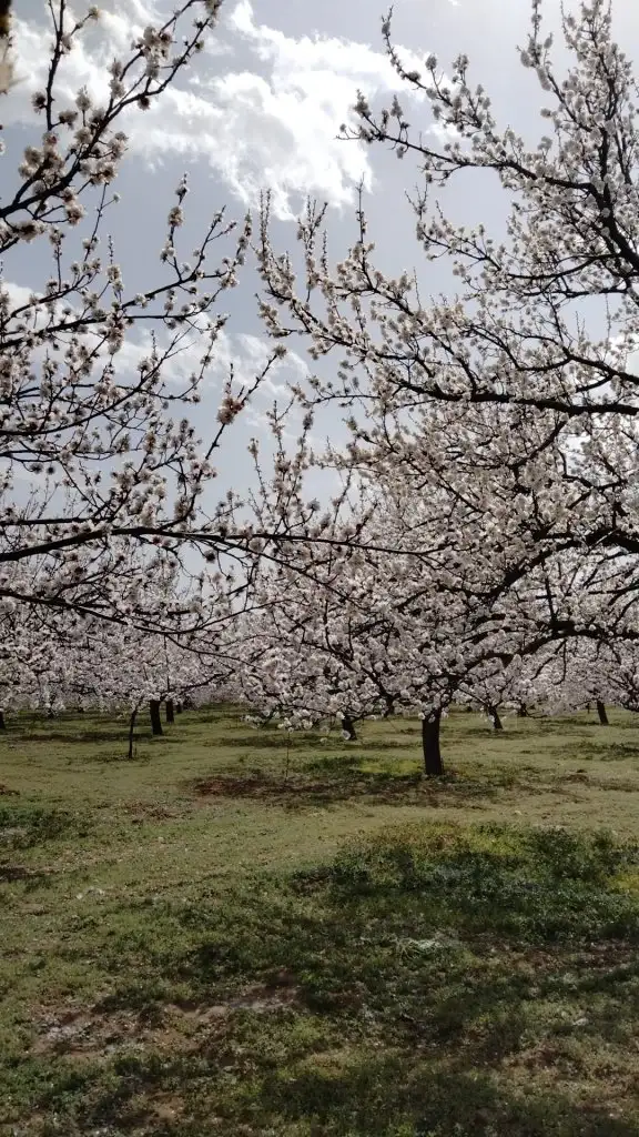 IMG-20220404-WA0014.webp
