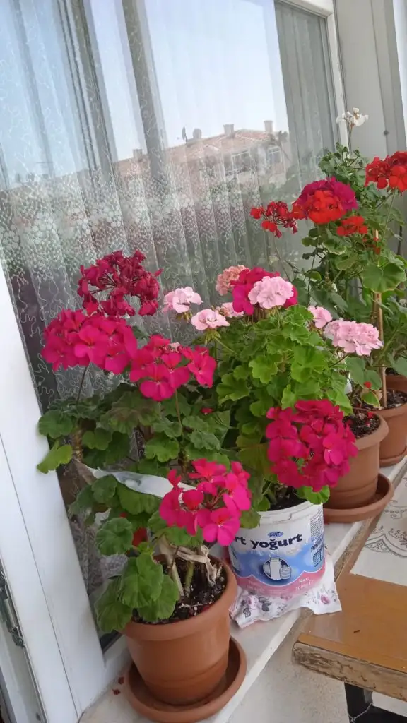 IMG-20220425-WA0014.webp
