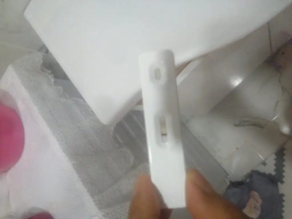 IMG-20220804-WA0026.webp
