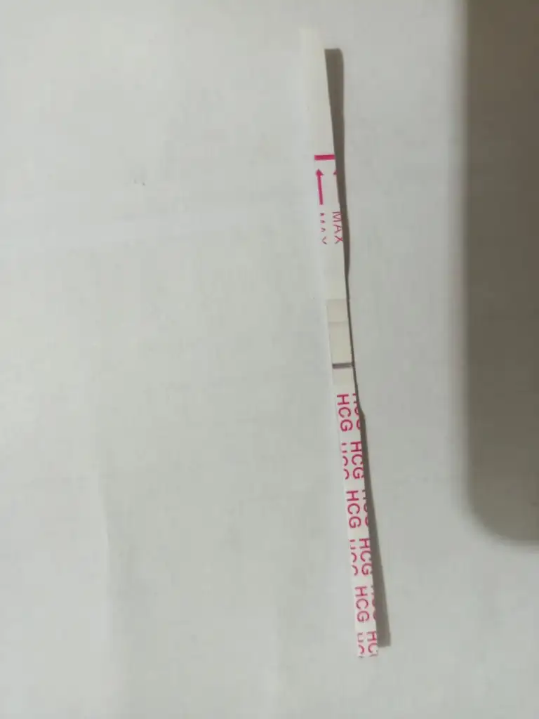 IMG-20220825-WA0053.webp