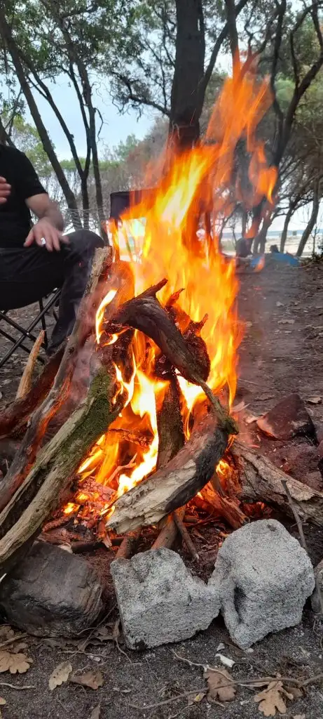 IMG-20220904-WA0009.webp