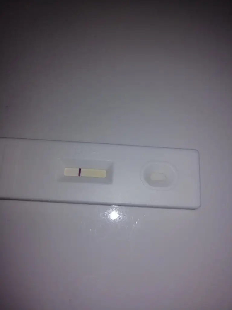 IMG-20221010-WA0039.webp