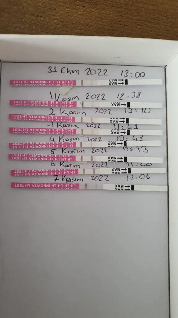 IMG-20221107-WA0001.webp