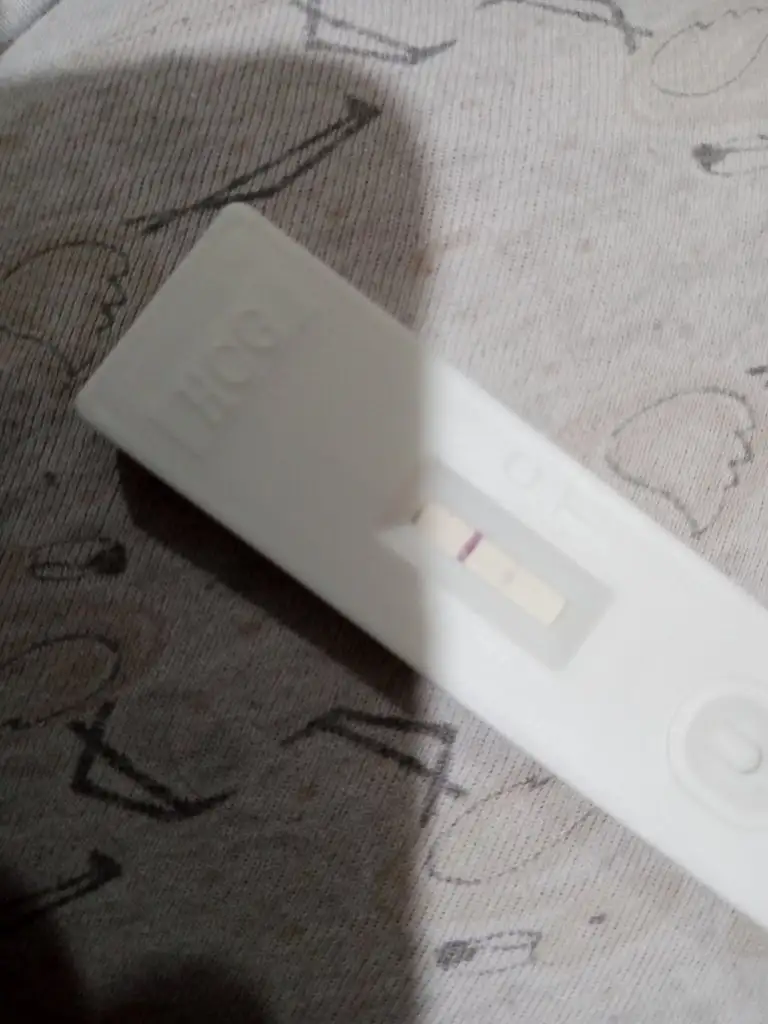 IMG-20221121-WA0020.webp