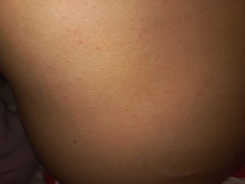 IMG-20221229-WA0005.webp
