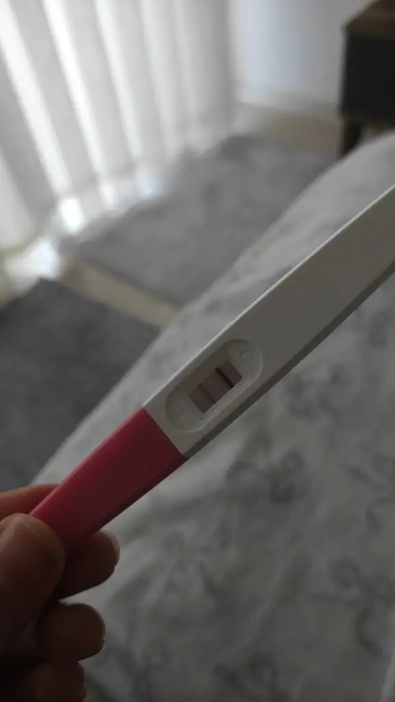 IMG-20221230-WA0004.webp