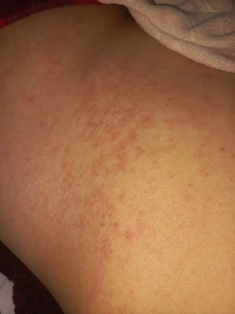 IMG-20230111-WA0006.webp