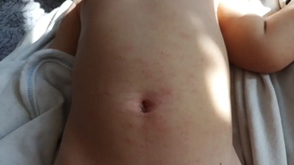 IMG-20230413-WA0031.webp