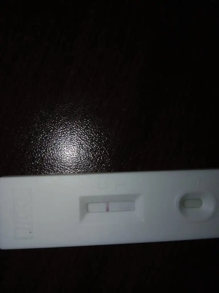 IMG-20230602-WA0016.webp