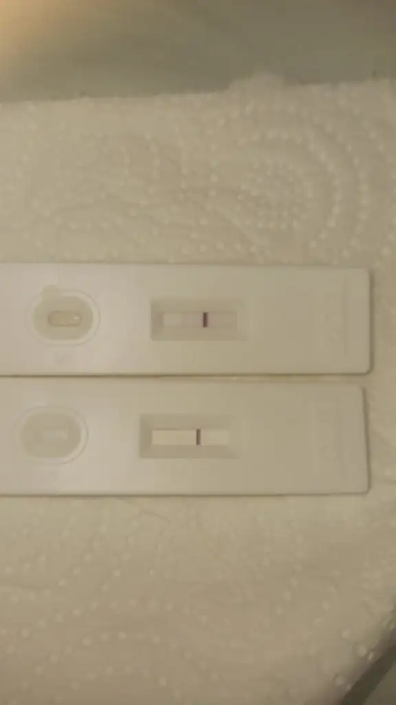 IMG-20230815-WA0005.webp