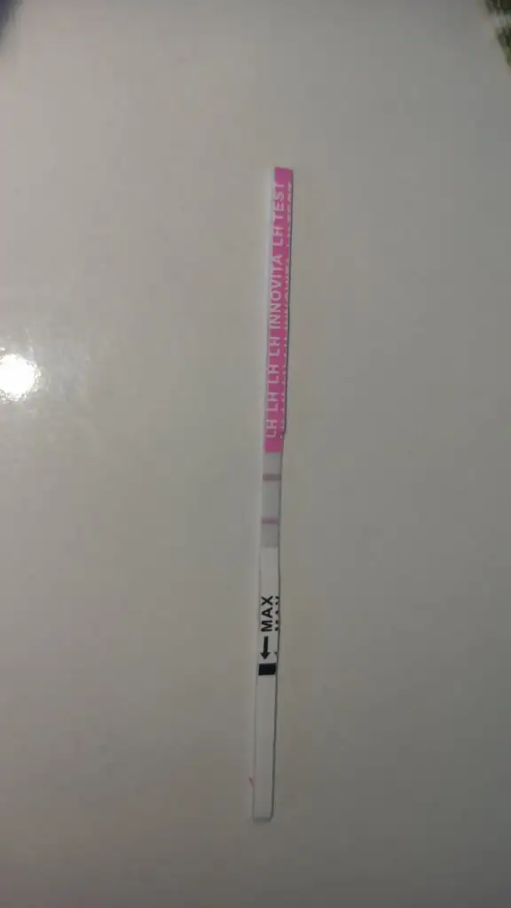 IMG-20230908-WA0013.webp