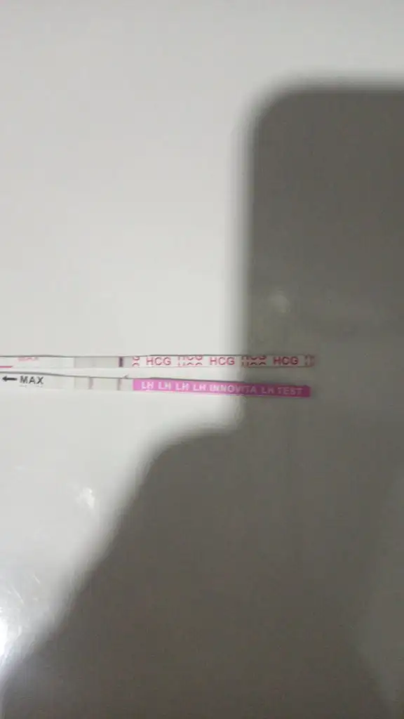 IMG-20230911-WA0005.webp
