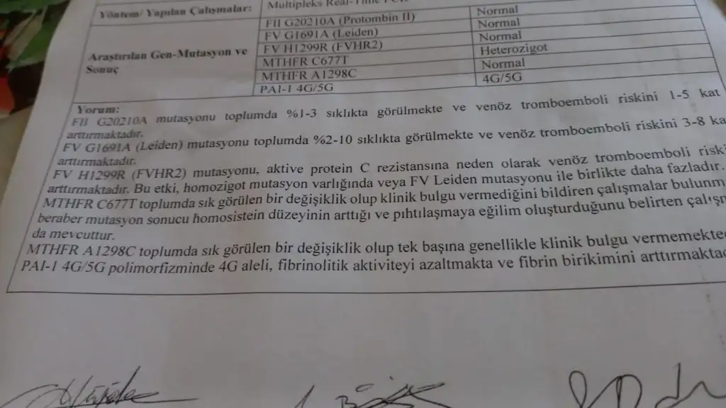 IMG-20231003-WA0007.webp
