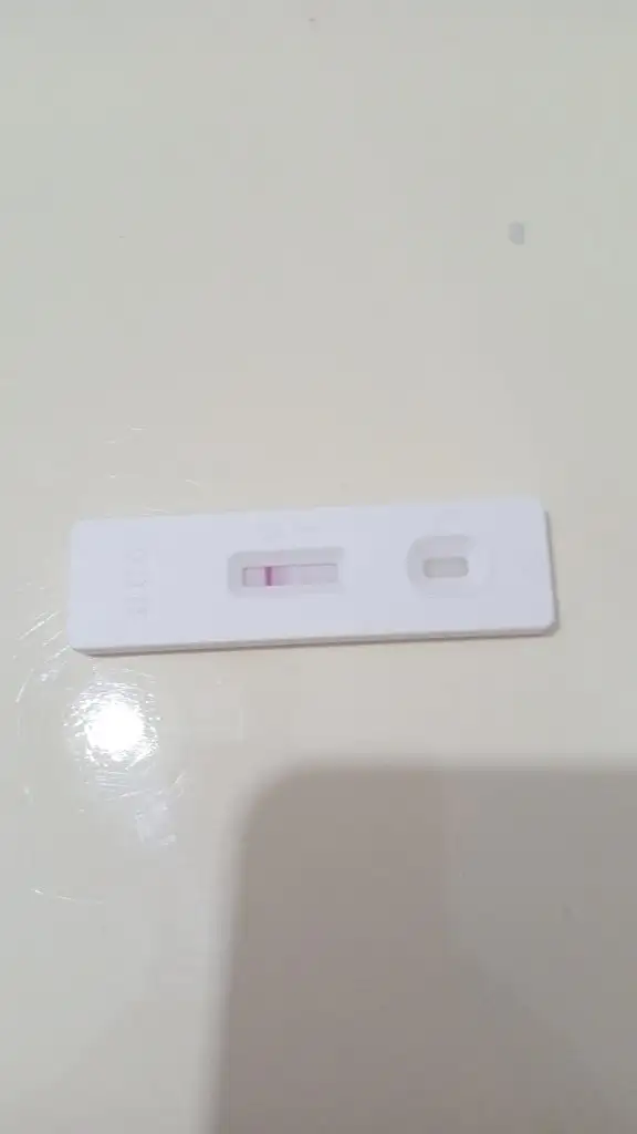 IMG-20231210-WA0015.webp