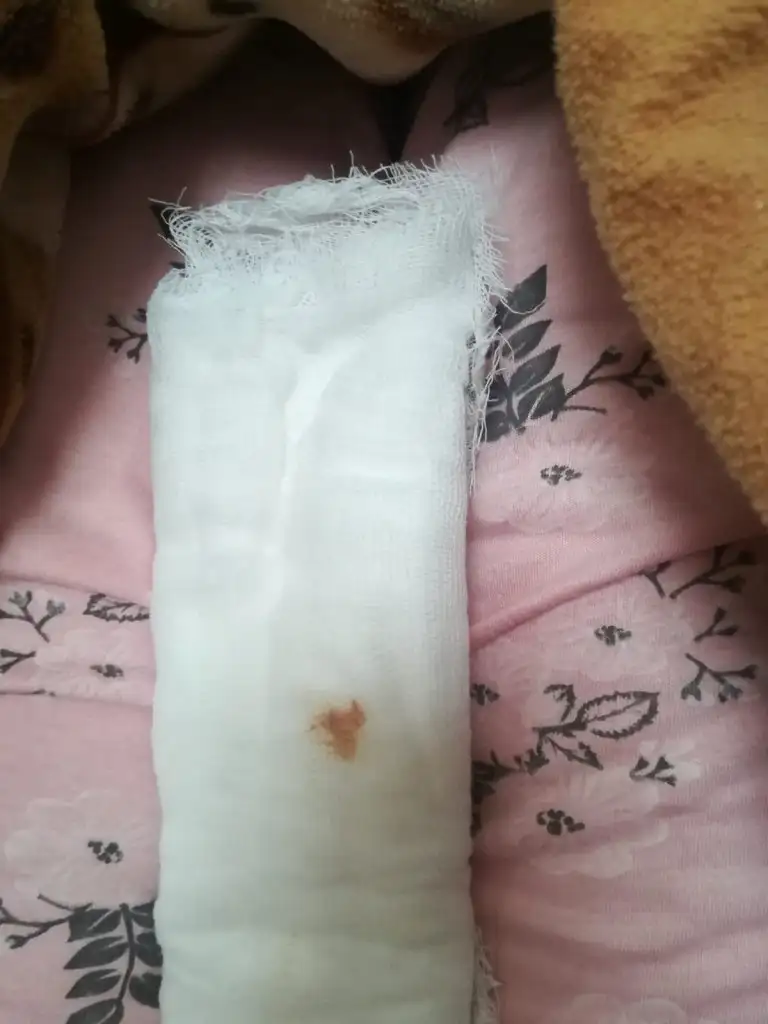 IMG-20240103-WA0009.webp