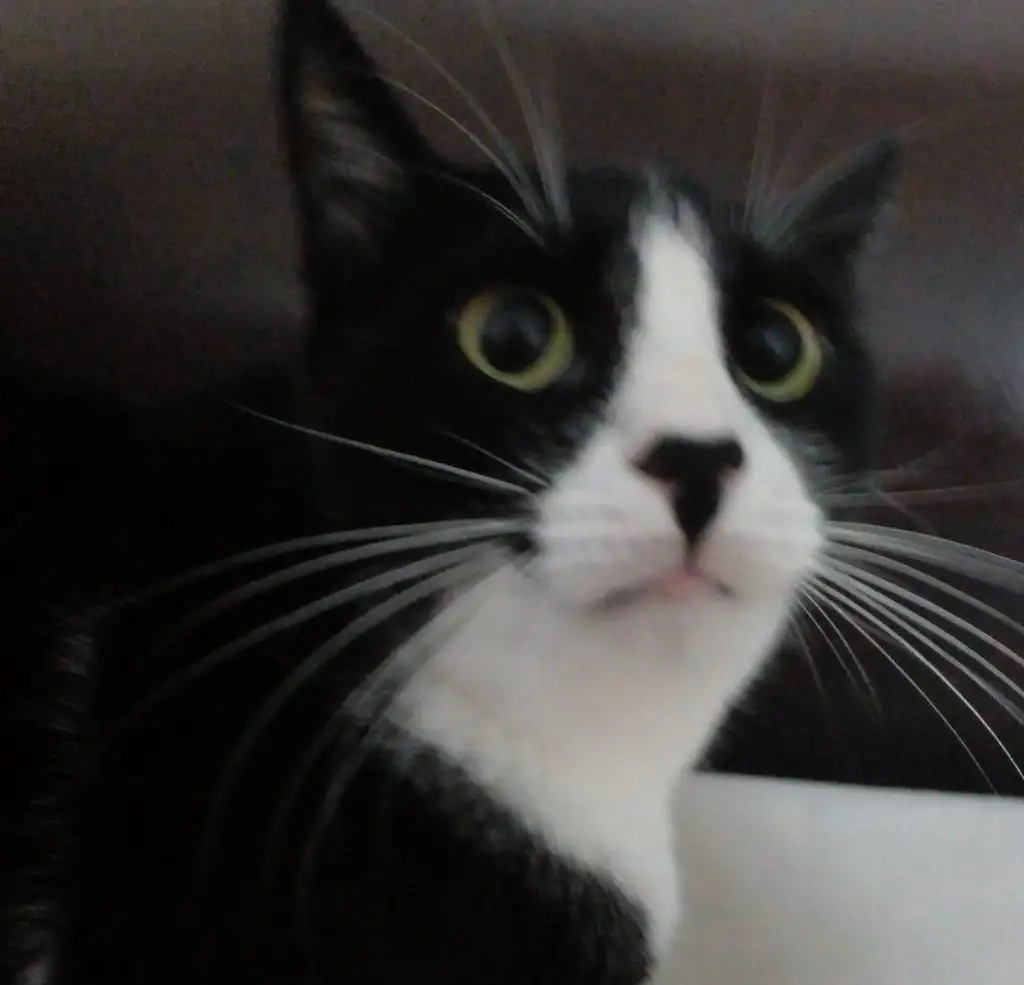 IMG-20240303-WA0012.webp