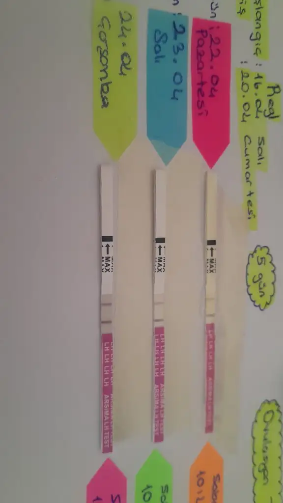IMG-20240424-WA0006.webp