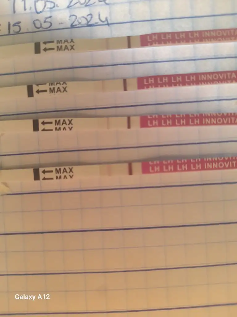 IMG-20240518-WA0003.webp