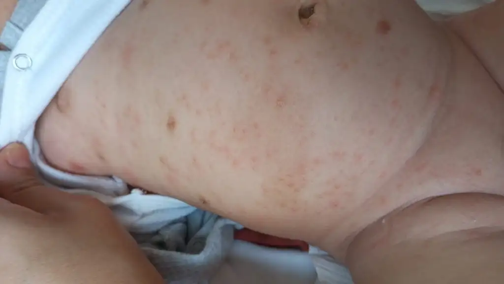 IMG-20240829-WA0046.webp