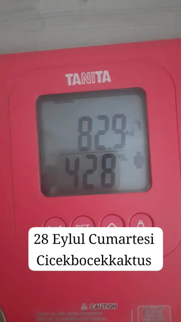 IMG-20240928-WA0010.webp