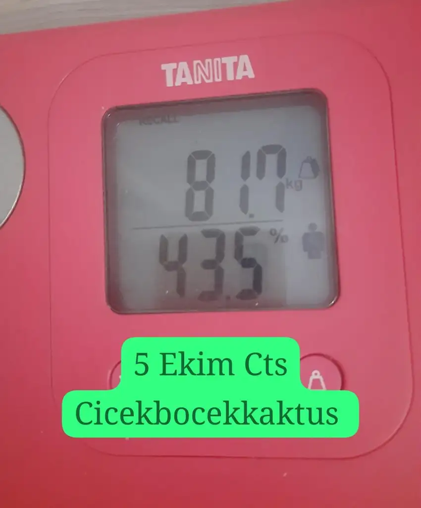 IMG-20241005-WA0001.webp