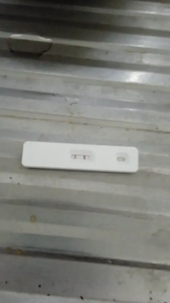 IMG-20241014-WA0019.webp
