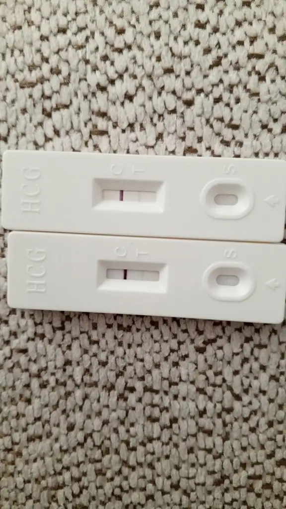 IMG-20241120-WA0005.webp