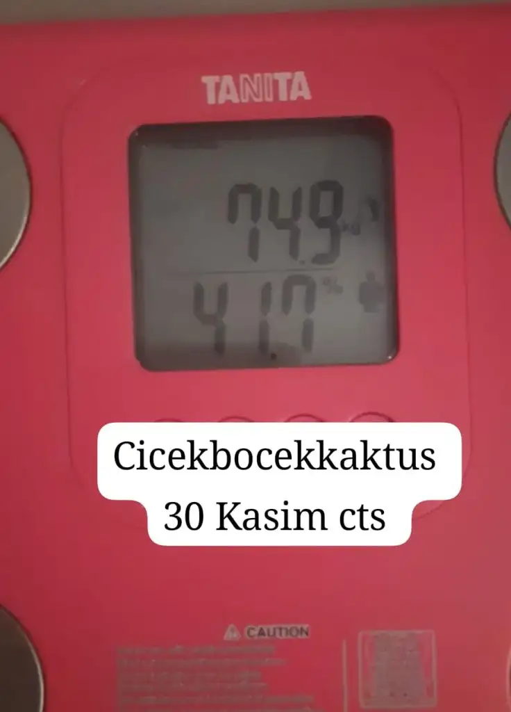 IMG-20241130-WA0005.webp