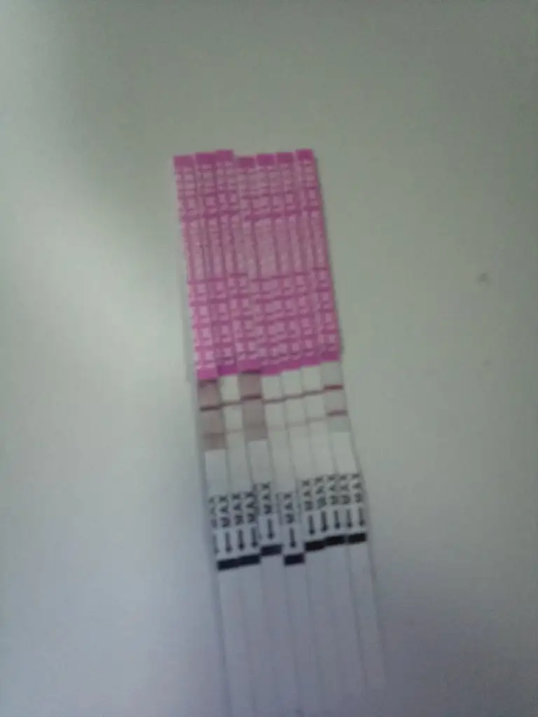 IMG-20241211-WA0013.webp