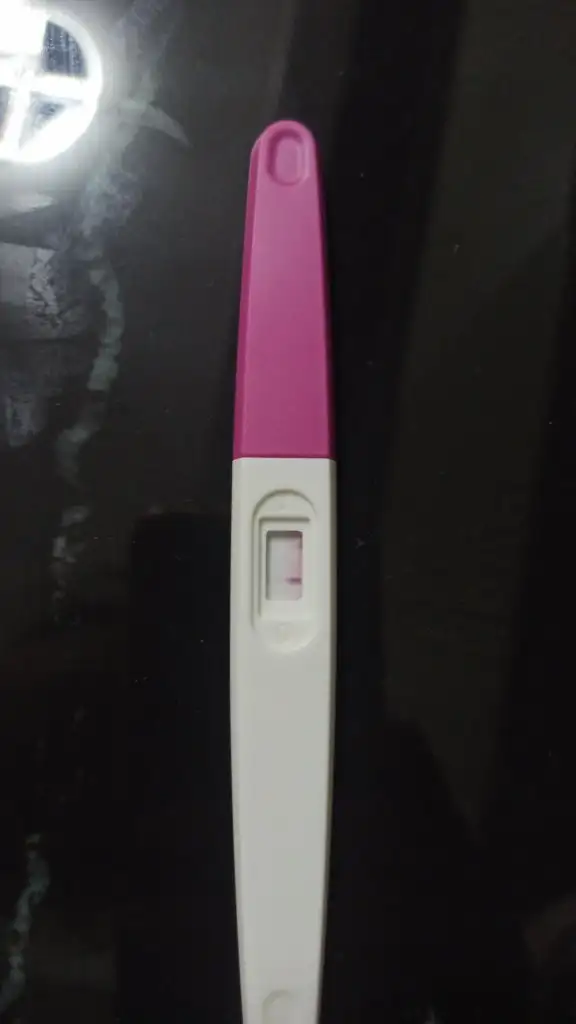 IMG-20250212-WA0000.webp