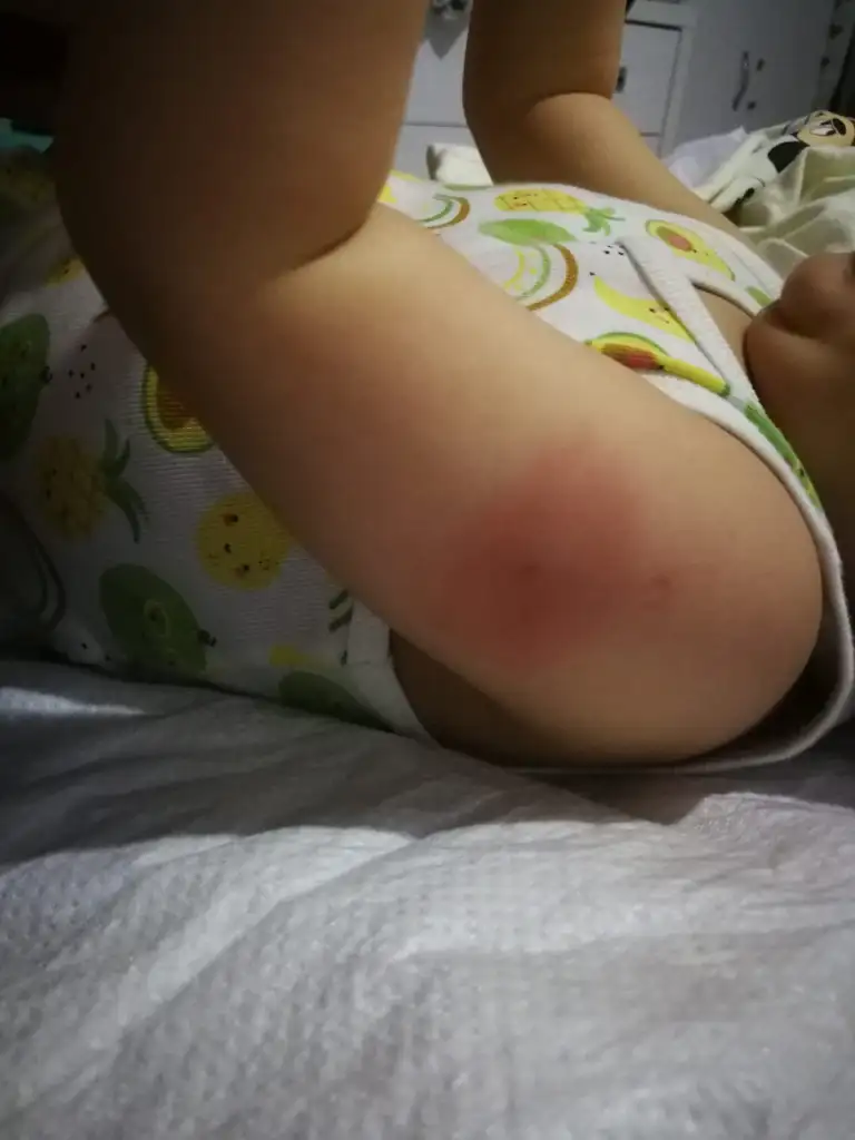 IMG-20250403-WA0006.webp
