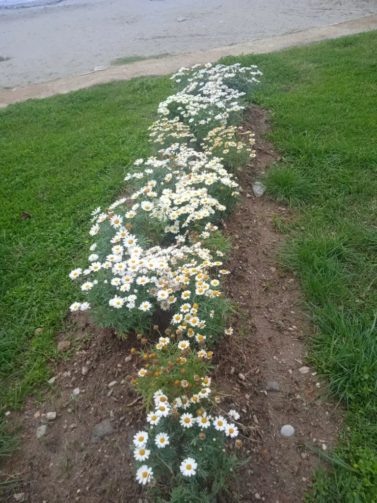 IMG-20250403-WA0049.webp