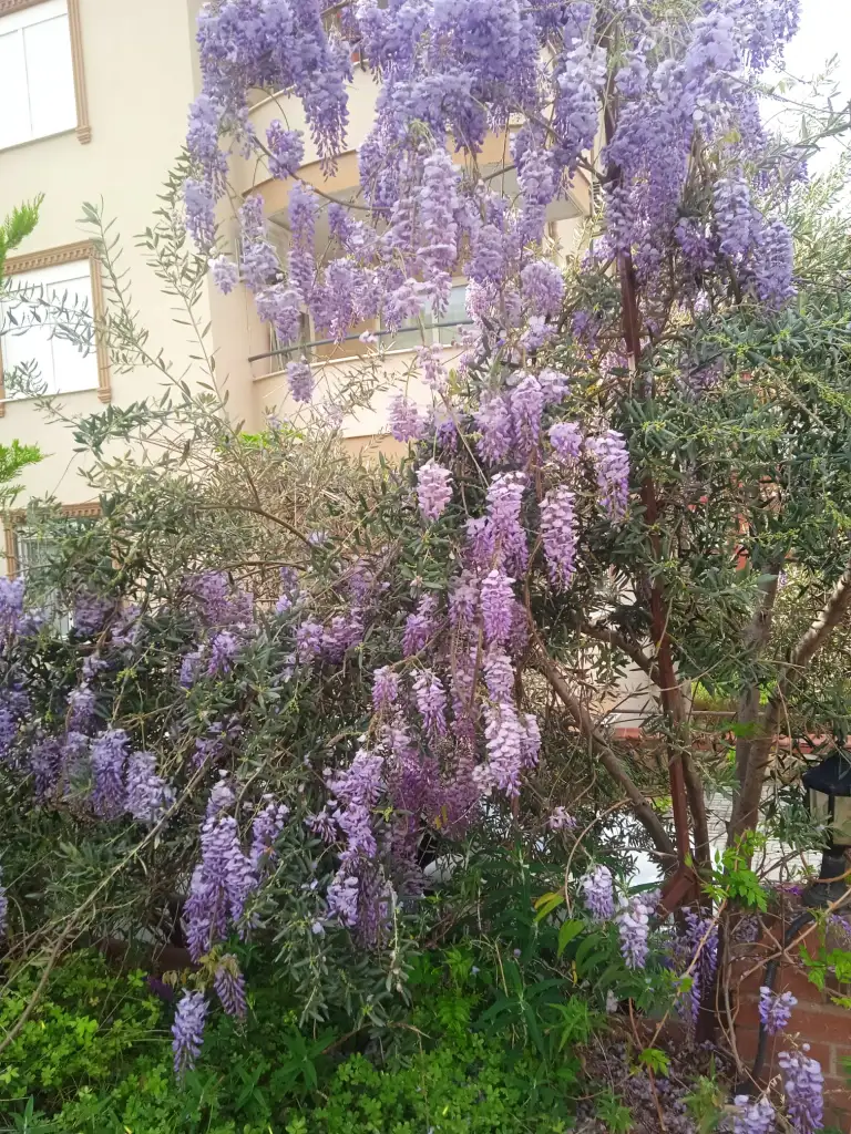 IMG-20250404-WA0010.webp