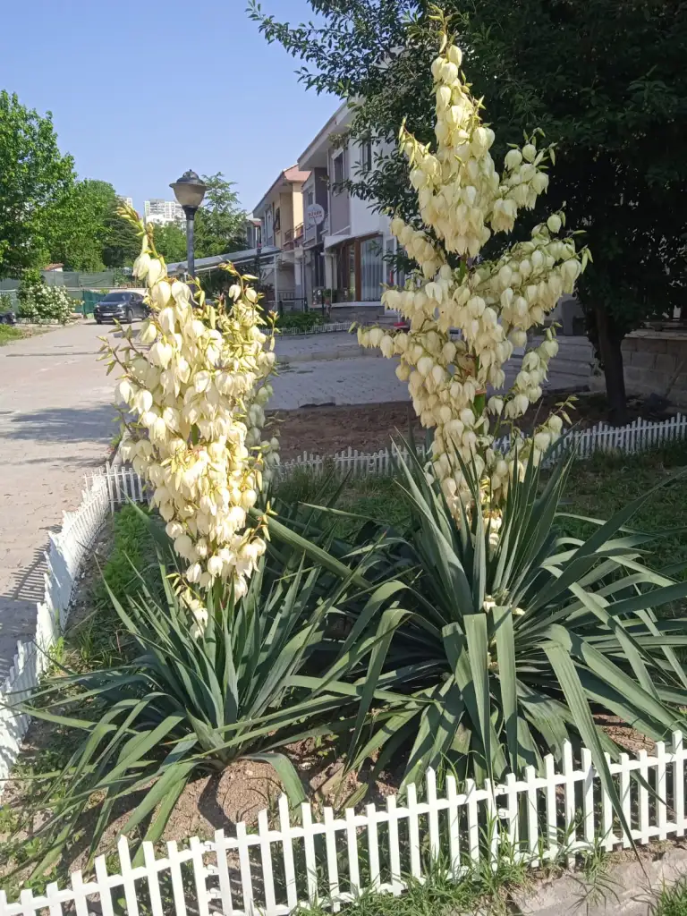 IMG-20250604-WA0063.webp
