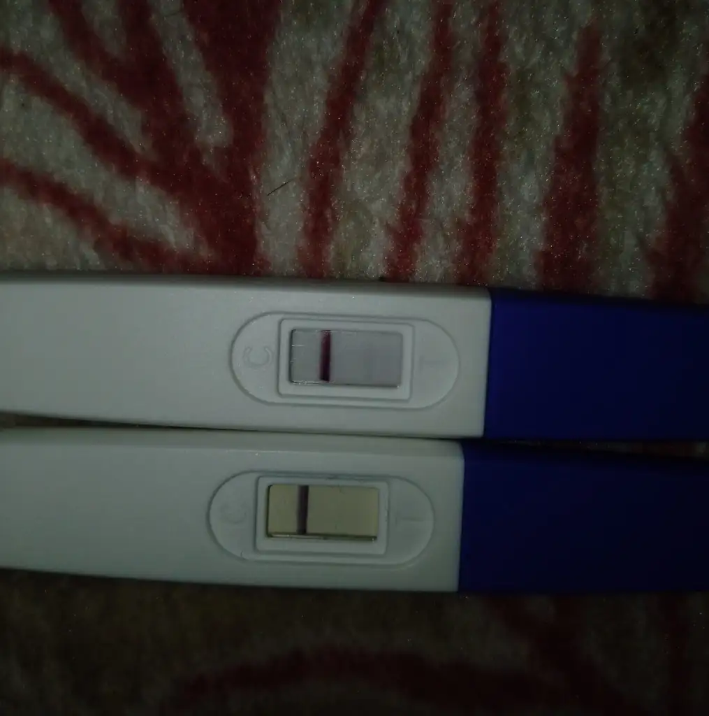 IMG-20250703-WA0023.webp