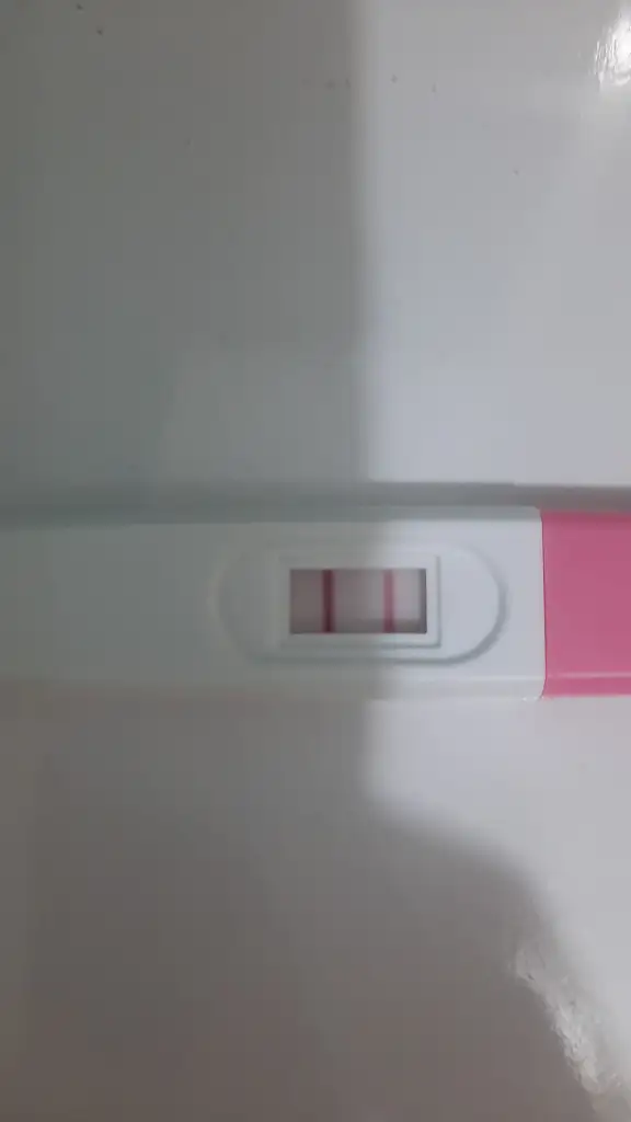 IMG-20250805-WA0000.webp