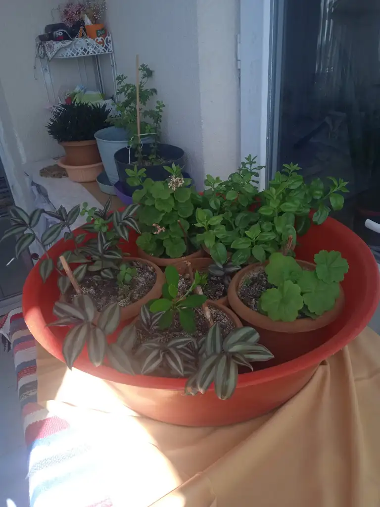 IMG-20250903-WA0008.webp