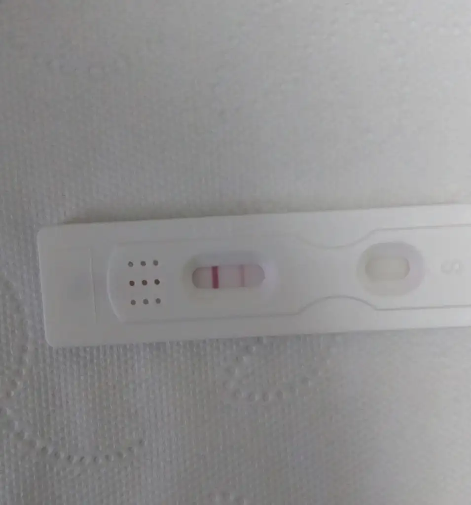 IMG-20251022-WA0067.webp