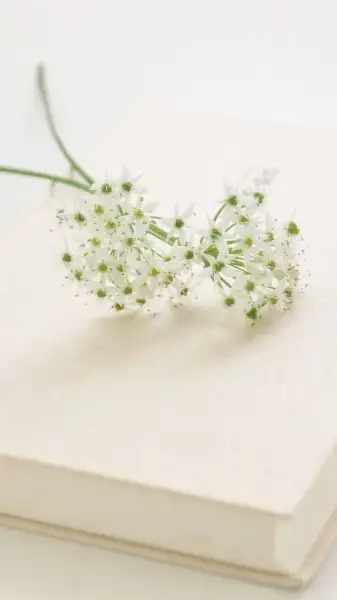 img1471812847638.webp