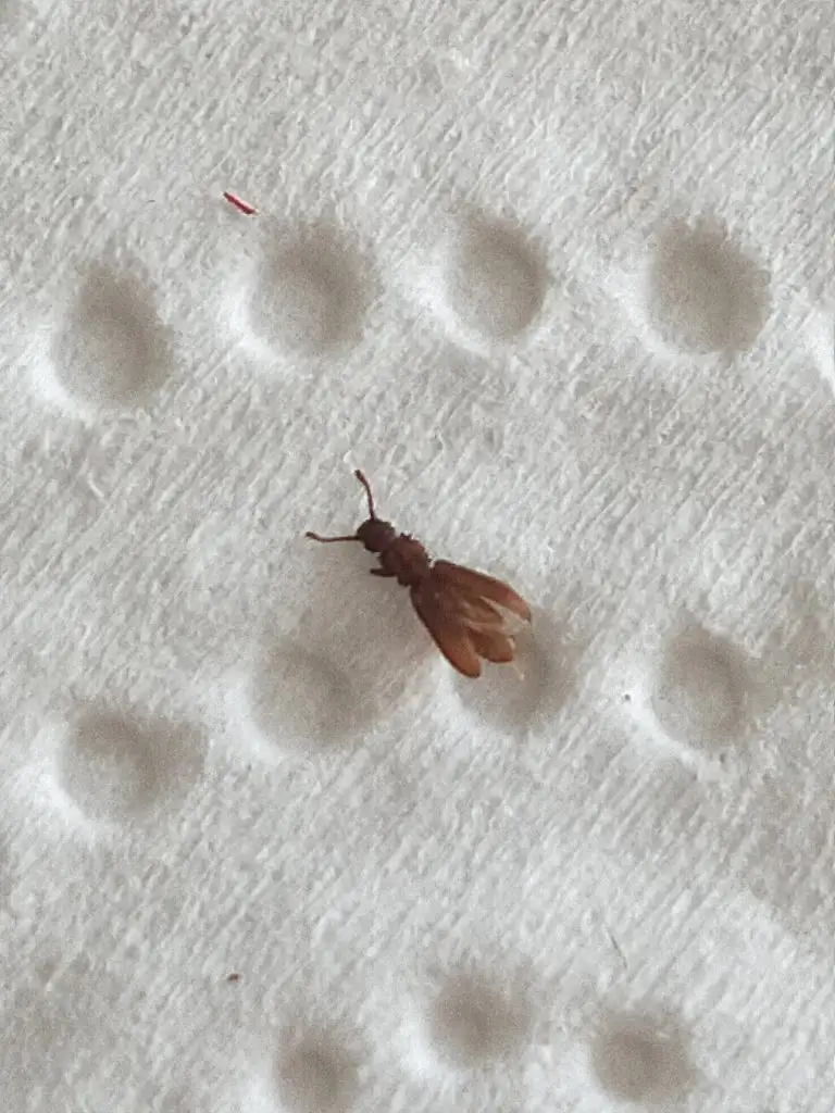 IMG20190910140419.jpg