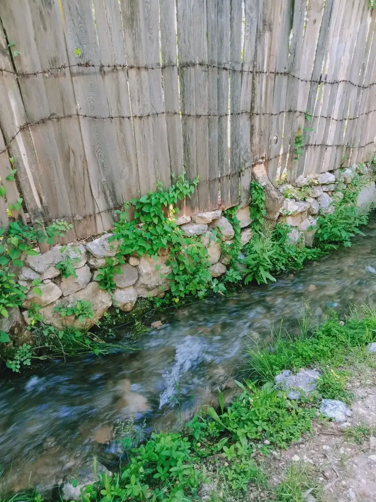 IMG20200527174100.webp