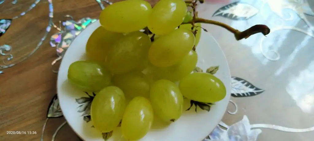 IMG20200816153603.webp