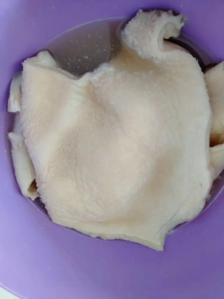 IMG20220215142620.jpg